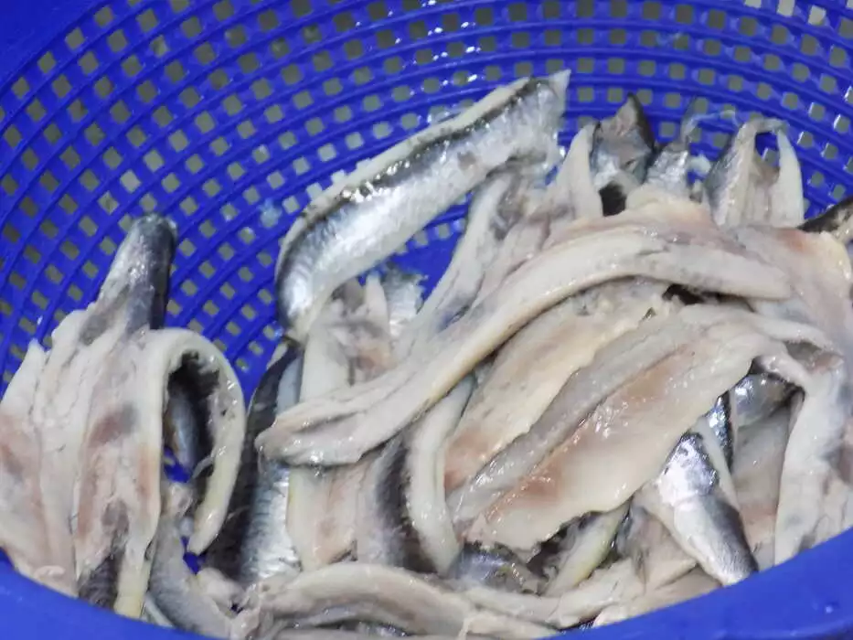 boquerones-en-vinagre-blancos-y-duros