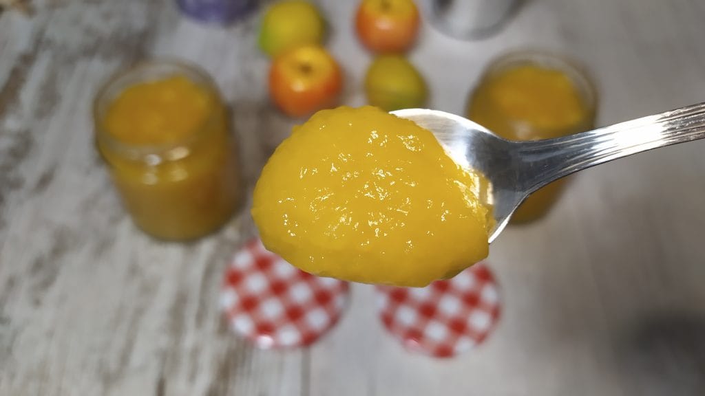 mermelada de mango sin azucar