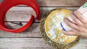 bizcocho-de-zanahoria-y-coco-en-microondas